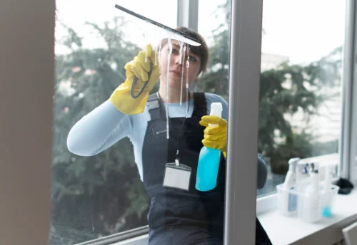 Nettoyage de vitres intérieures et extérieures à Luzy